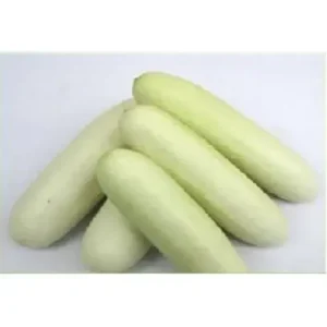 White cucumber